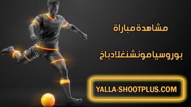 مشاهدة مباراة بوروسيا مونشنغلادباخ